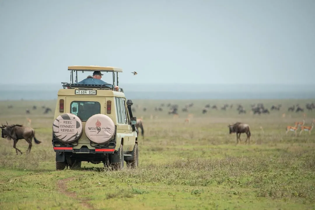 Wild Rhythms Safaris about us